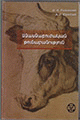 Տեղային կազմի պատկերը